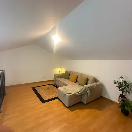 Jardim Do Apartamento *